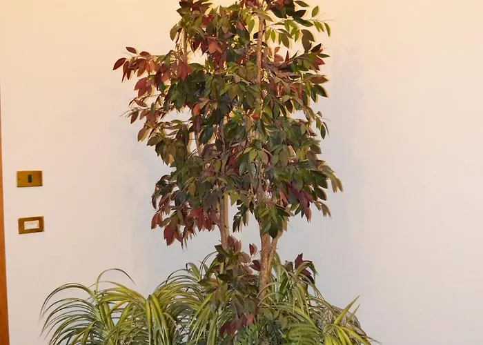 Apartamento Mascagni Flat