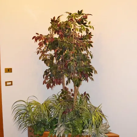 דירה Mascagni Flat